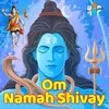 About Har Har Bhole Namah Shivay Song